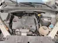 More images