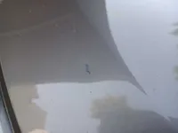 الباب الخلفى الأيسر