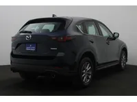More images