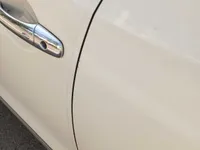 Rear left door