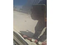 الباب الأمامى الأيمن