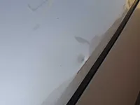 Bonnet
