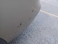 Left Fender