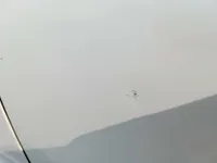 الباب الخلفى الأيسر