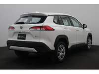 More images