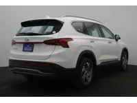 More images