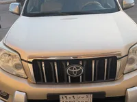 More images