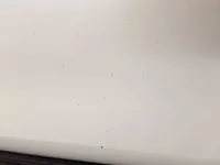الباب الأمامى الأيسر