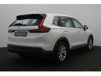 More images