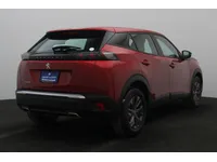 More images