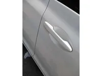Rear left door