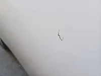 الباب الخلفى الأيسر