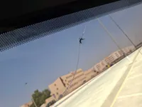 Windshield