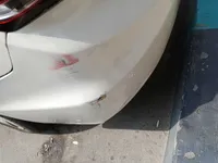 Rear left door