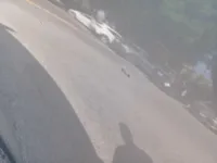 الباب الخلفى الأيسر