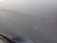 الباب الخلفى الأيسر