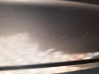الباب الأمامى الأيمن