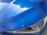 Bonnet