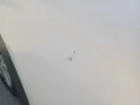 الباب الخلفى الأيمن