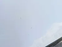 Bonnet