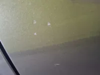 الباب الخلفى الأيسر