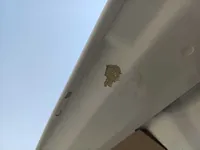 Trunk / Boot door