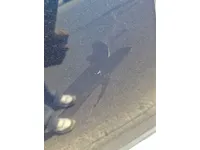 Rear right door