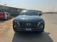 More images