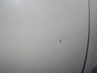 الباب الخلفى الأيمن