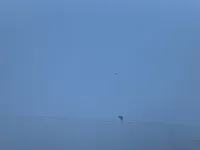 غطاء المحرك (الكبوت)