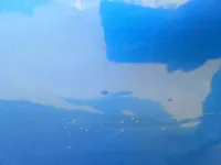 الباب الأمامى الأيمن