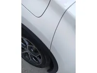 Rear left door
