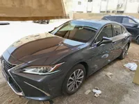More images