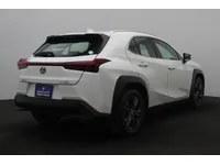 More images