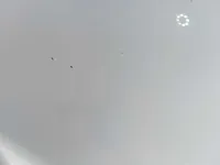 الباب الخلفى الأيمن