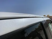 Left rocker / sill panels