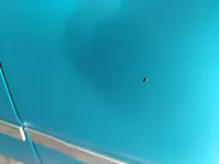 الباب الخلفى الأيسر