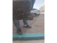 الباب الأمامى الأيسر