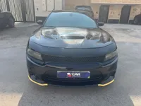 More images