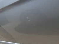 الباب الأمامى الأيسر