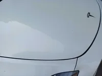 Bonnet