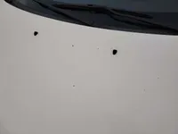 غطاء المحرك (الكبوت)