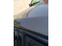 Rear left door