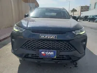 More images