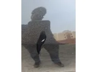 الباب الخلفى الأيمن