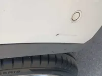 Rear left door