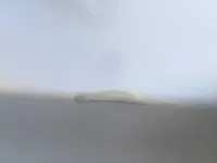 الباب الأمامى الأيسر