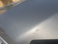 Bonnet