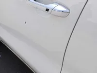 Rear left door
