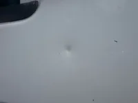 الباب الأمامى الأيسر